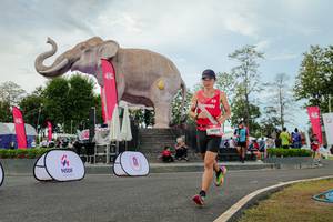 BIB: 
                            <button type="button" onclick="openModal(26528749)" class="btn btn-primary btn-sm float-right btn-popup" data-toggle="modal" data-target=".modal-high-quality">
                        <i class="fas fa-shopping-cart"></i> Add to Cart
                    </button>
                                            <button type="button" onclick="isThisMe(26528749, true)" class="btn btn-success btn-sm float-right btn-popup btn-isme hidden" data-toggle="tooltip" data-placement="bottom" title="นี่คือรูปของคุณใช่ไหม คลิกที่นี่เพื่อเอาเข้าอัลบั้ม">
                        <i class="fas fa-plus"></i> Add to album
                    </button>
                    <button type="button" onclick="isThisMe(26528749, false)" class="btn btn-warning btn-sm float-right btn-popup btn-isnotme hidden">
                        <i class="fas fa-ban"></i> Remove from album
                    </button>